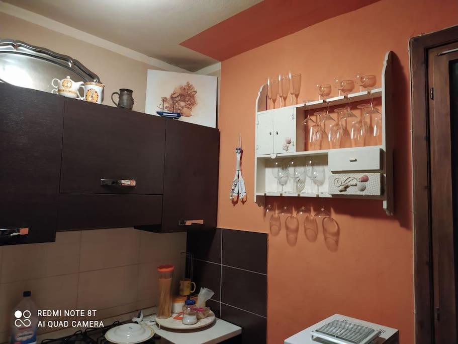 Casa Vacanze Marina Di Pisa Catola 外观 照片